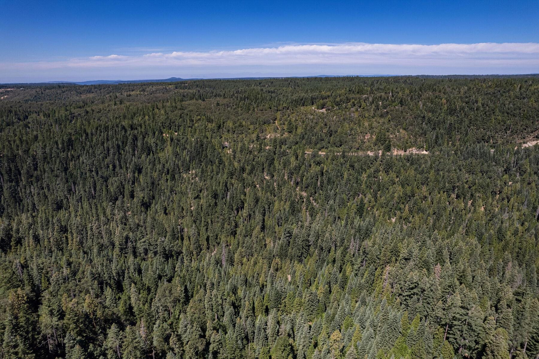 No Address No Address Texas Hill Road Emigrant Gap, CA 95715 - Photo 11 of 25 a view of an outdoor space and a yard