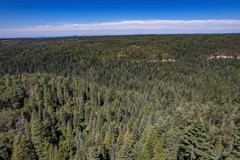 a view of a city with lush green forest