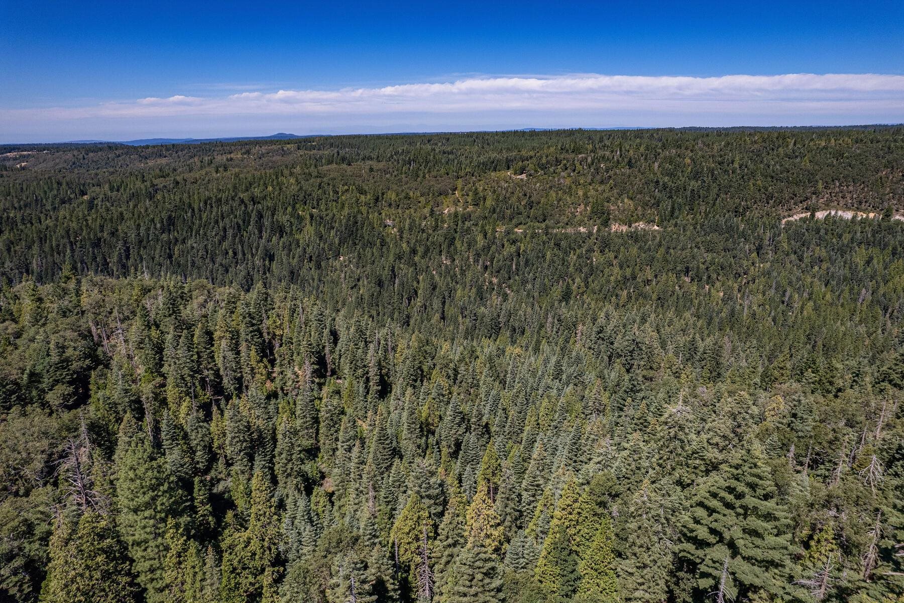 No Address No Address Texas Hill Road Emigrant Gap, CA 95715 - Photo 12 of 25 a view of an outdoor space and a yard