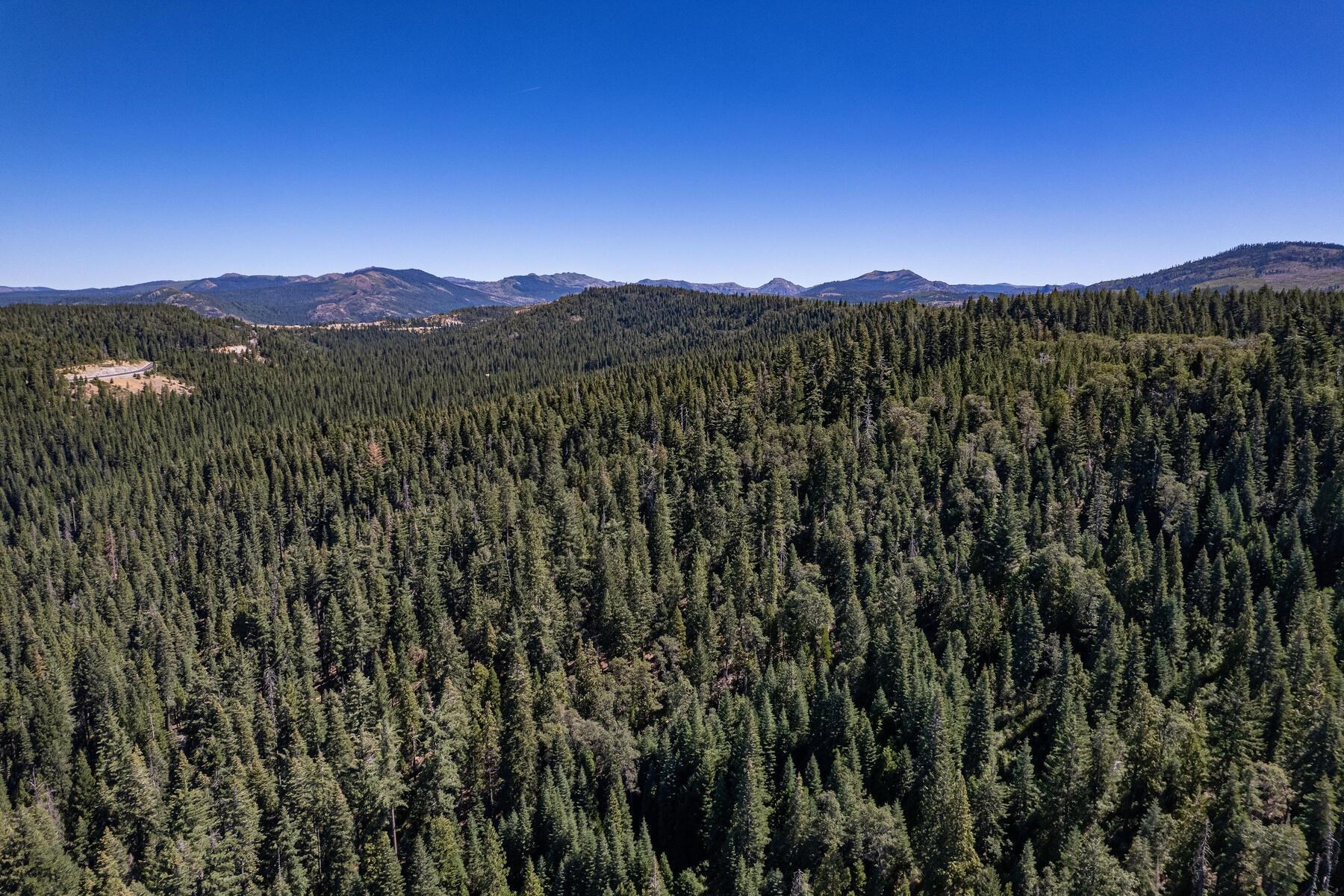 No Address No Address Texas Hill Road Emigrant Gap, CA 95715 - Photo 13 of 25 a view of a city with lush green forest