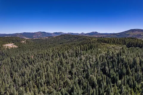 a view of a lush green forest with mountains in the background