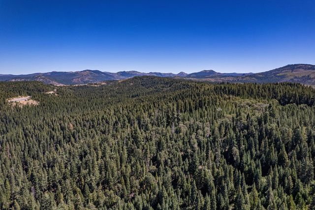 a view of a lush green forest with mountains in the background
