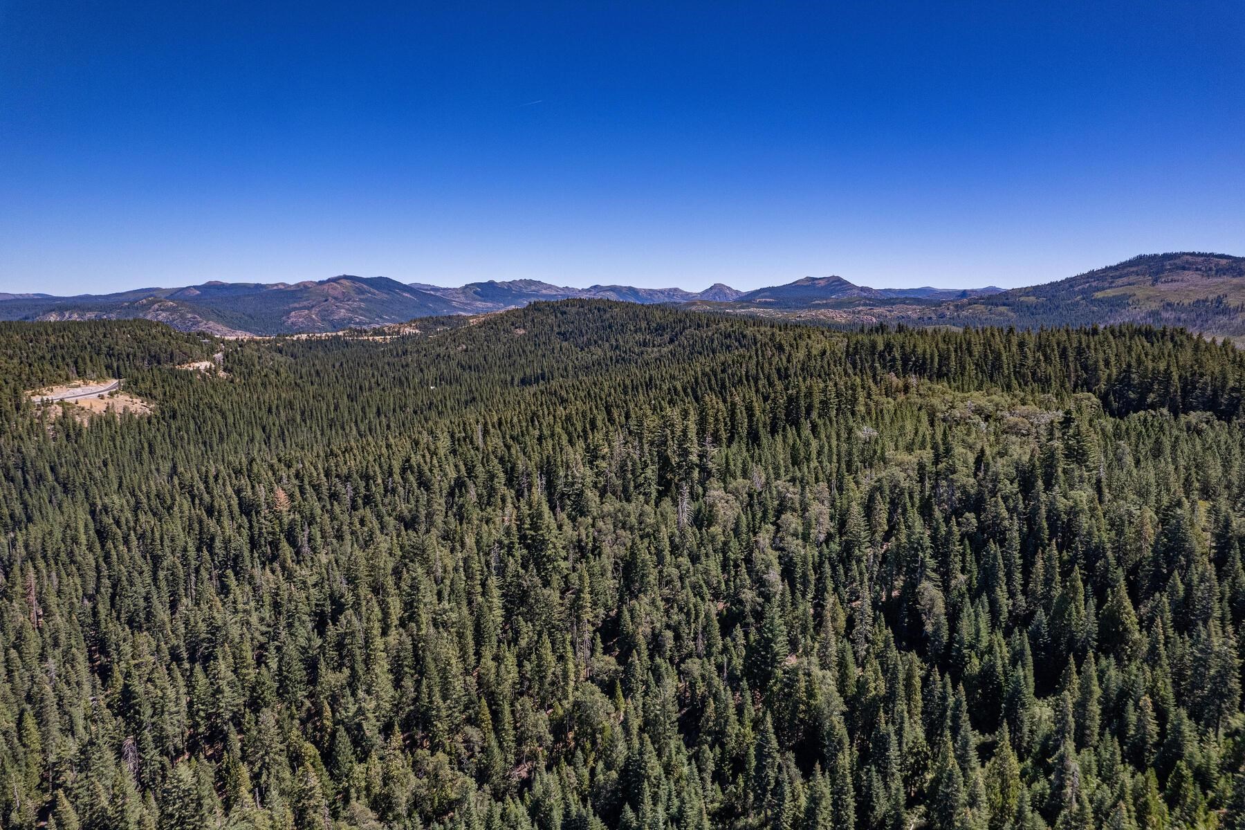 No Address No Address Texas Hill Road Emigrant Gap, CA 95715 - Photo 14 of 25 a view of a mountain