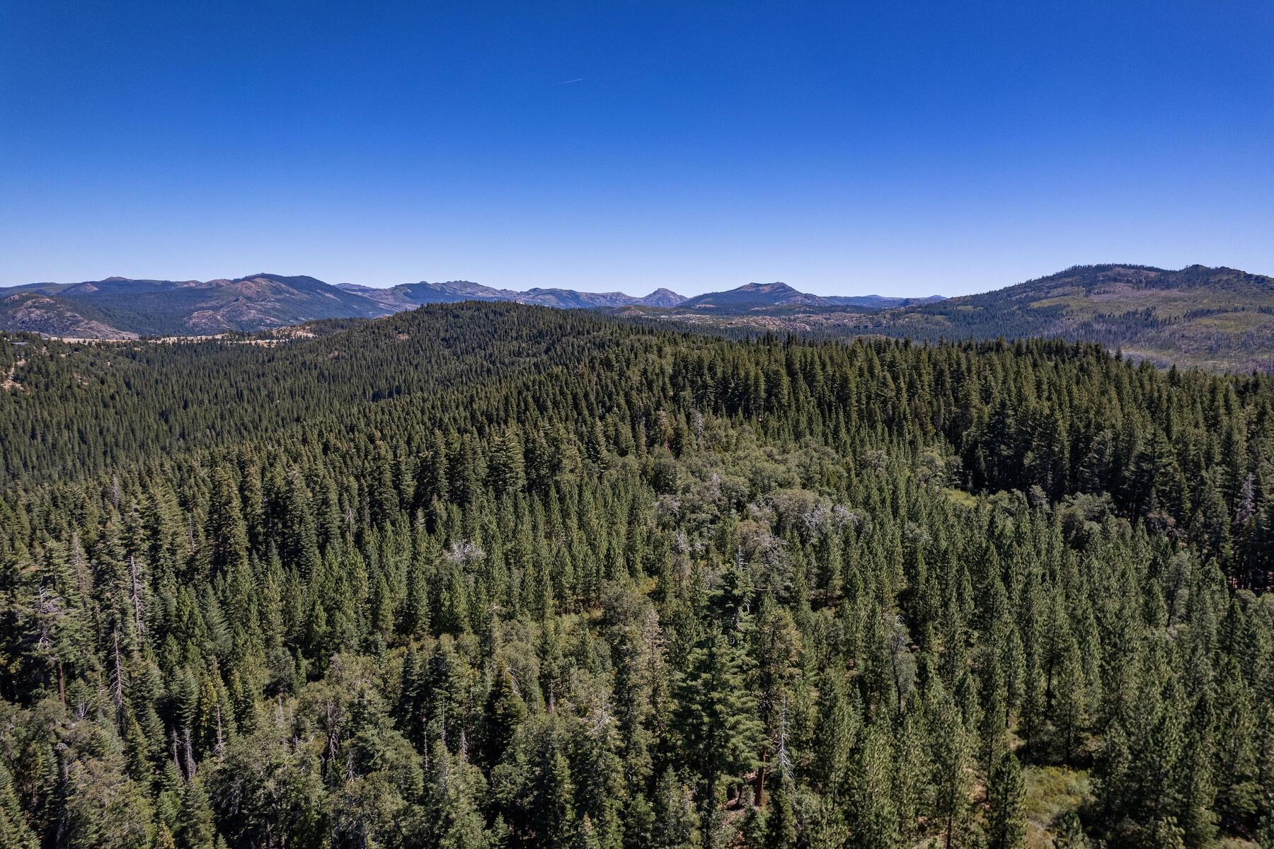 No Address No Address Texas Hill Road Emigrant Gap, CA 95715 - Photo 15 of 25 a view of a lush green forest with mountains in the background