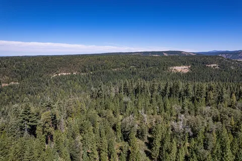 a view of a city with lush green forest