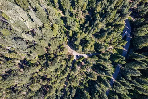 a view of a city with lush green forest