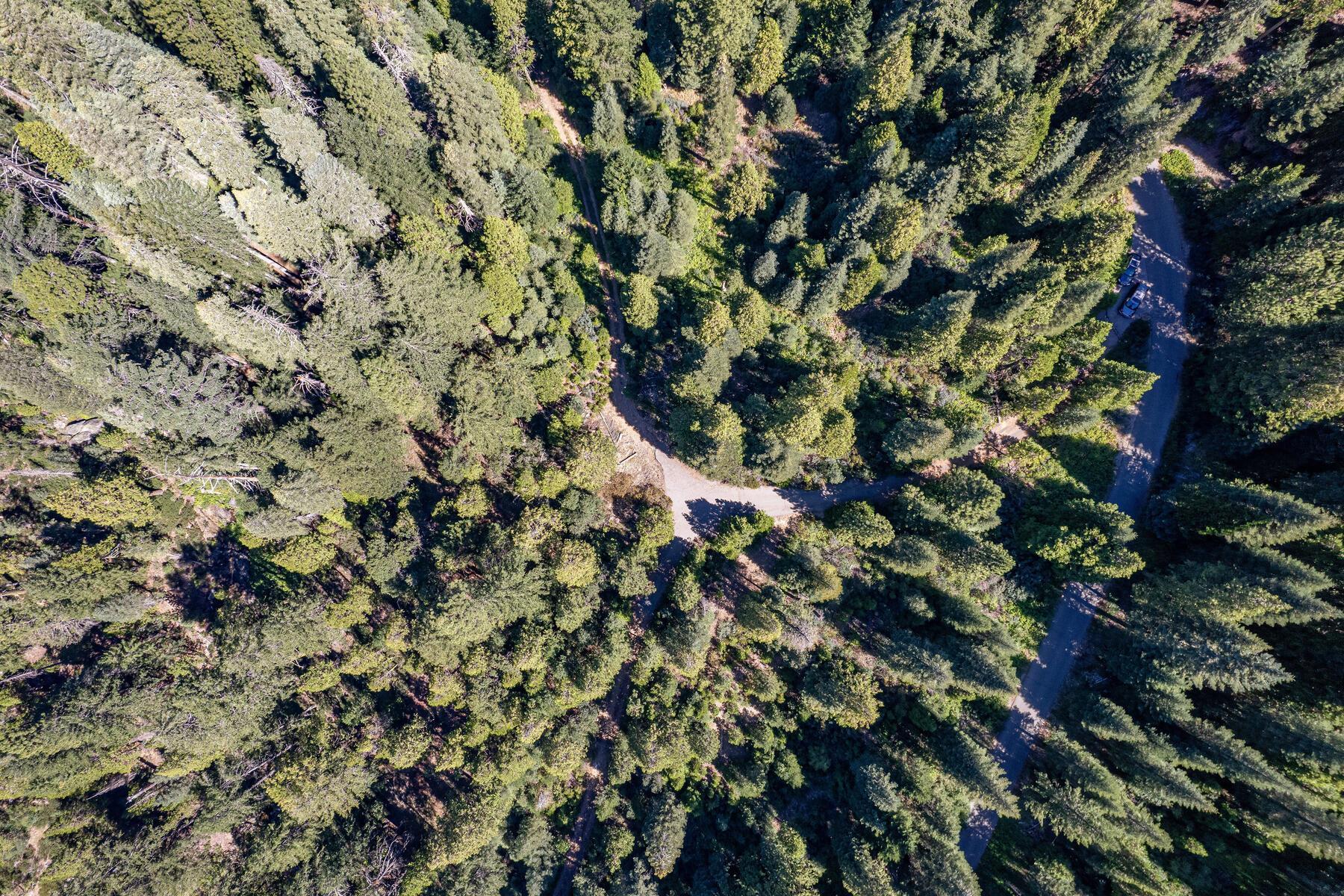 No Address No Address Texas Hill Road Emigrant Gap, CA 95715 - Photo 19 of 25 a view of a tree