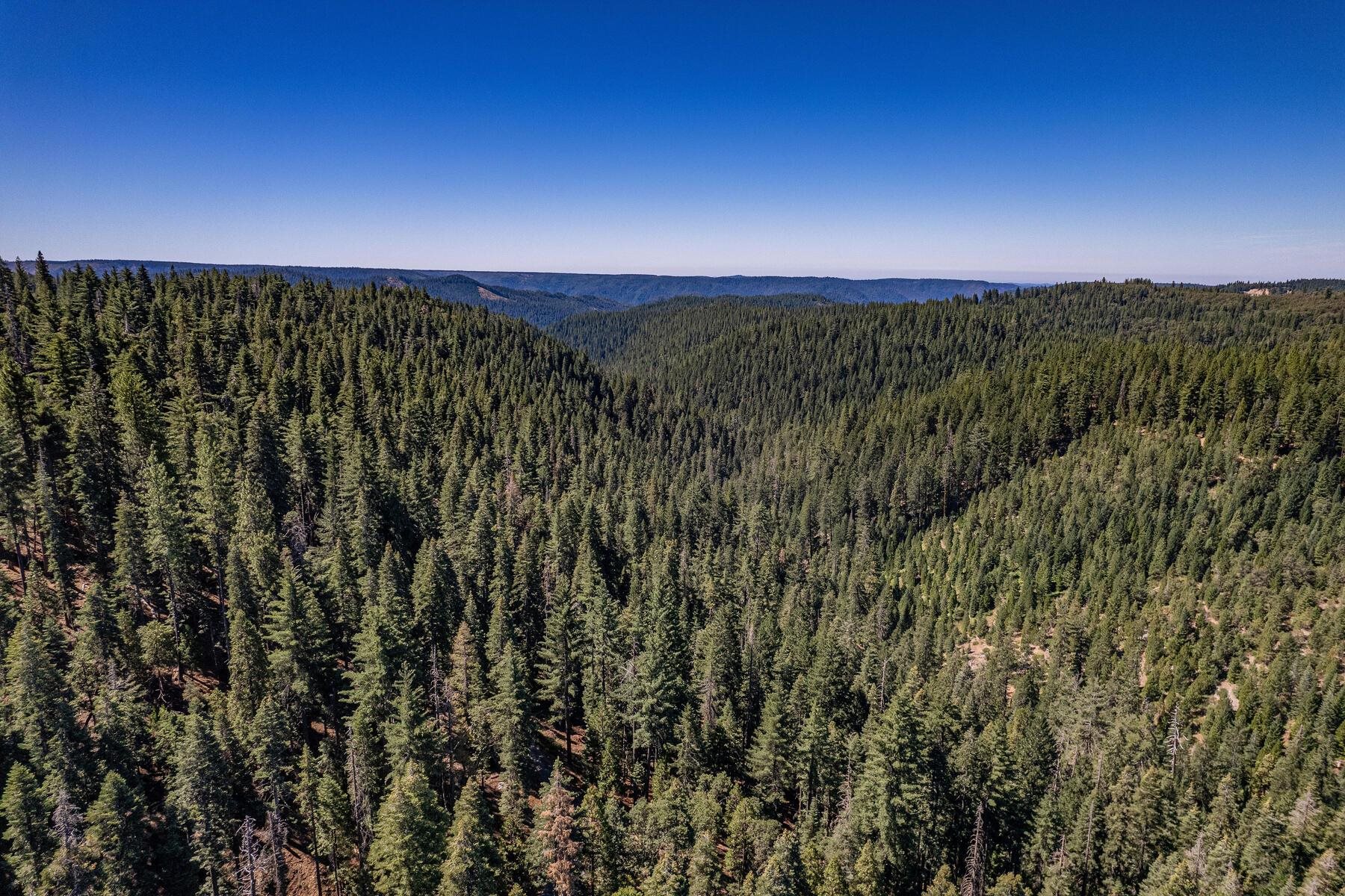 No Address No Address Texas Hill Road Emigrant Gap, CA 95715 - Photo 20 of 25 a view of a city with lush green forest