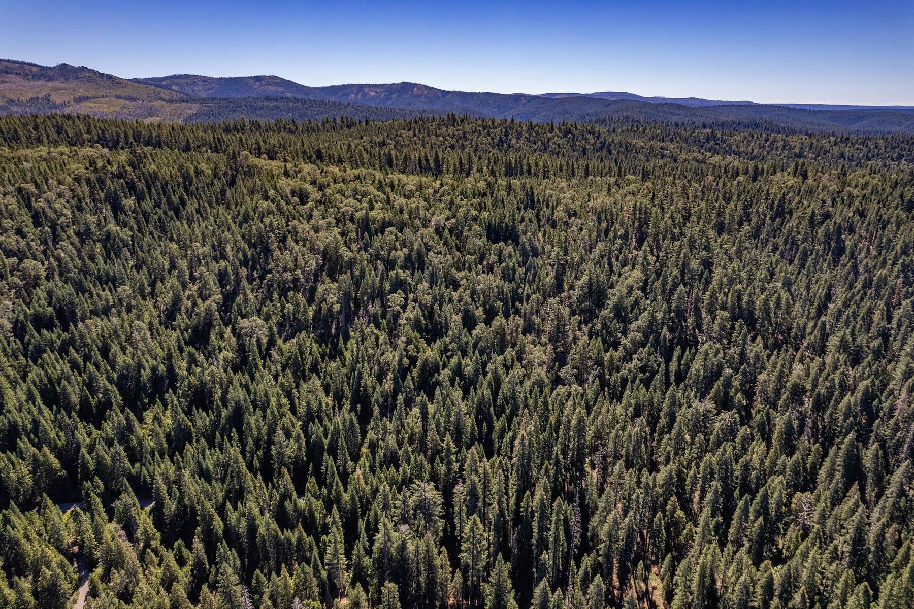 No Address No Address Texas Hill Road Emigrant Gap, CA 95715 - Photo 21 of 25 a view of a city with mountain