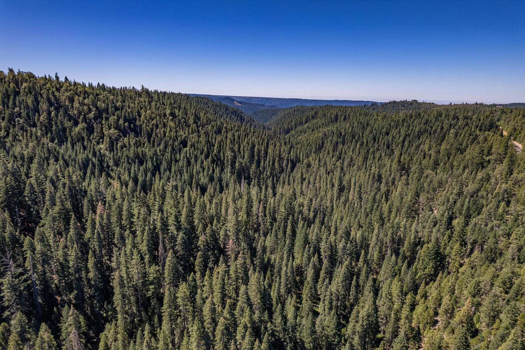 No Address No Address Texas Hill Road Emigrant Gap, CA 95715 - Photo 22 of 25 a view of a city