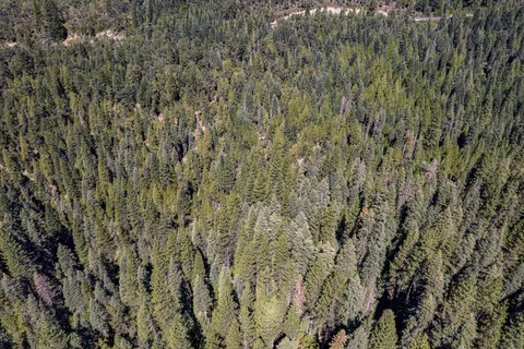 a view of a city with mountains in the background