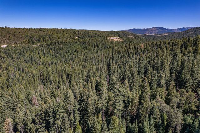 a view of a city with lush green forest