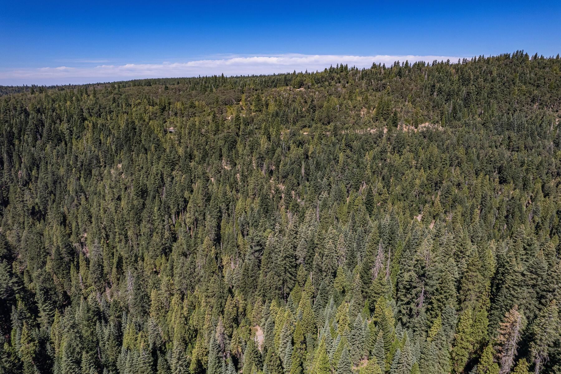 No Address No Address Texas Hill Road Emigrant Gap, CA 95715 - Photo 25 of 25 a view of a city with lush green forest