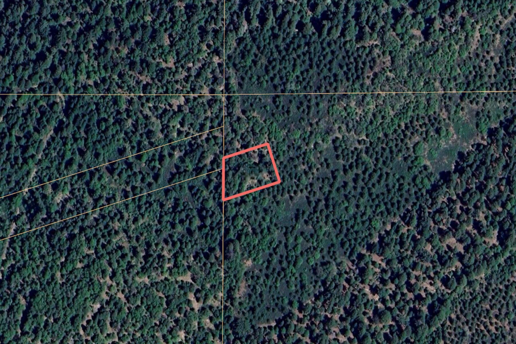 No Address No Address Texas Hill Road Emigrant Gap, CA 95715 - Photo 4 of 25 a close up of a plant