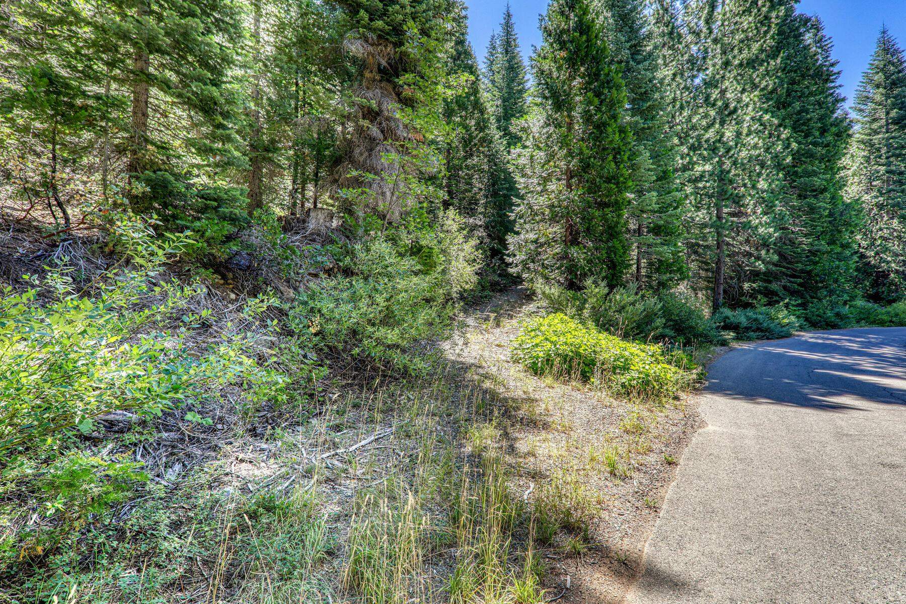 No Address No Address Texas Hill Road Emigrant Gap, CA 95715 - Photo 6 of 25 a view of a garden with plants and large trees