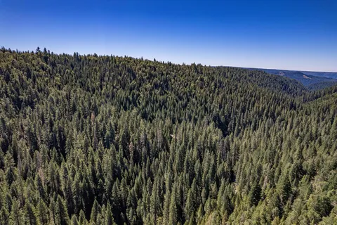 a view of a town with mountains in the background