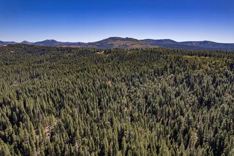 a view of a city and a forest