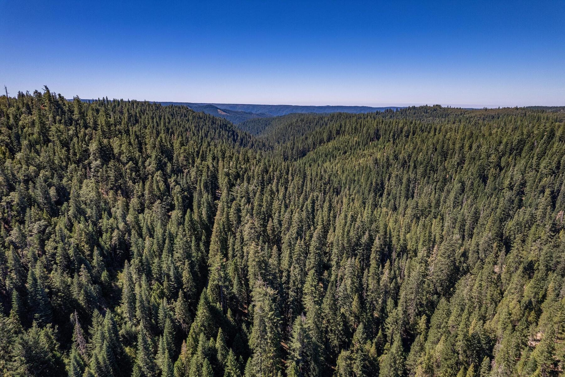 No Address No Address Texas Hill Road Emigrant Gap, CA 95715 - Photo 9 of 25 a view of a city and a forest