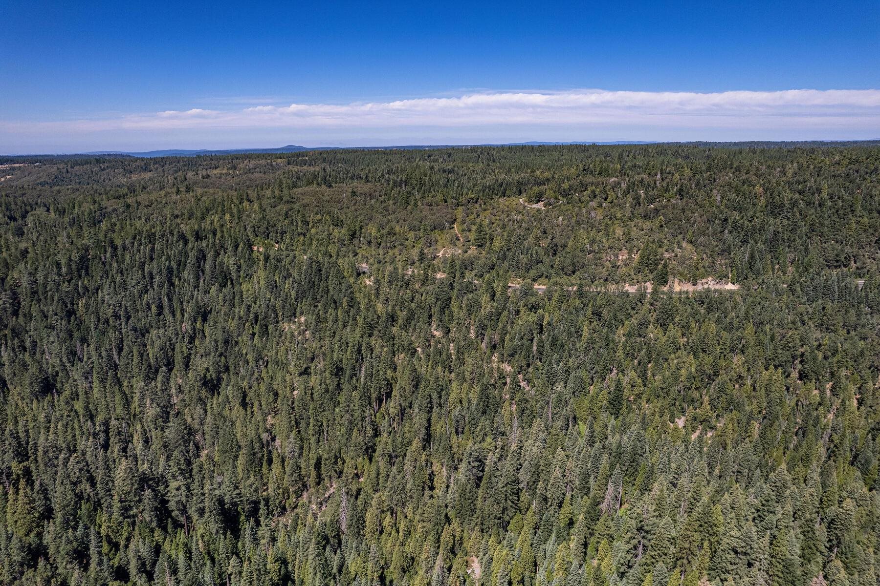 No Address No Address Texas Hill Road Emigrant Gap, CA 95715 - Photo 10 of 25 a view of a city and lush green forest
