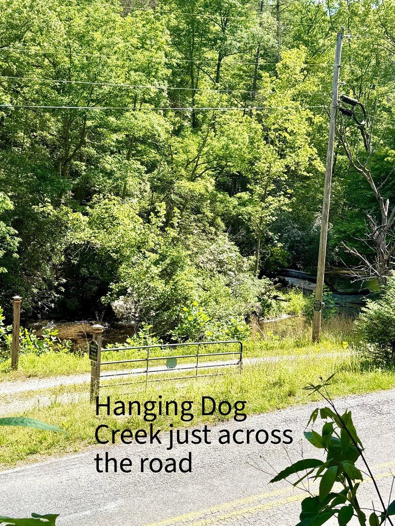 675 Ed Graves Road Murphy, NC 28906 - Photo 30 of 33