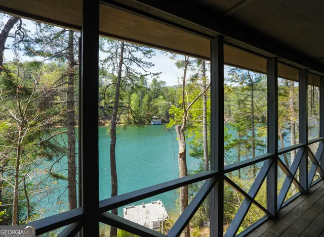 a view of a potted flower in a yard with swimming pool