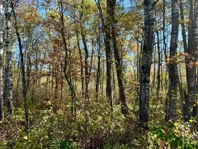 $79,000 | 8 County Road 8, Brainerd, MN 56401