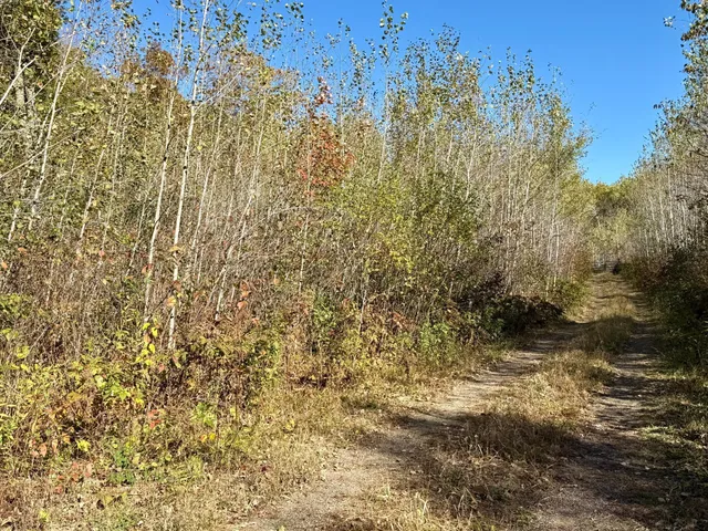 $79,000 | 8 County Road 8, Brainerd, MN 56401