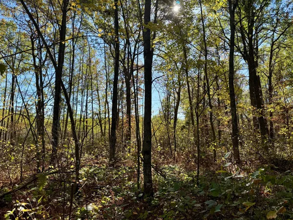 $79,000 | 8 County Road 8, Brainerd, MN 56401