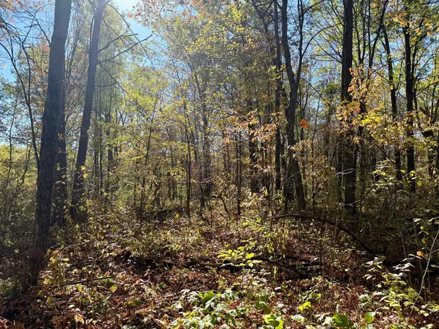 $79,000 | 8 County Road 8, Brainerd, MN 56401