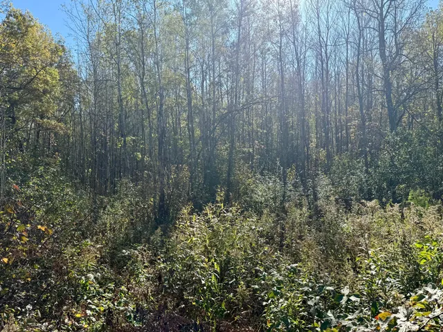 $79,000 | 8 County Road 8, Brainerd, MN 56401