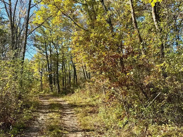 $79,000 | 8 County Road 8, Brainerd, MN 56401