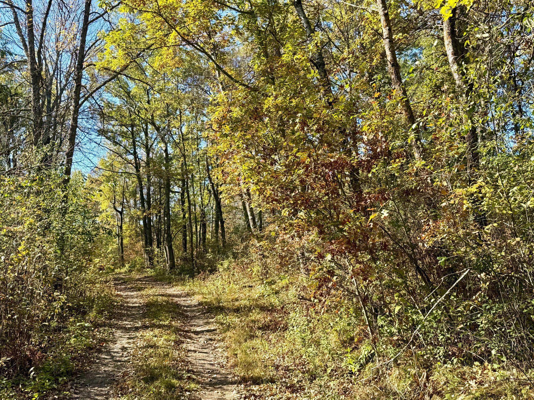 8 County Road 8 Brainerd, MN 56401 - Photo 9 of 12