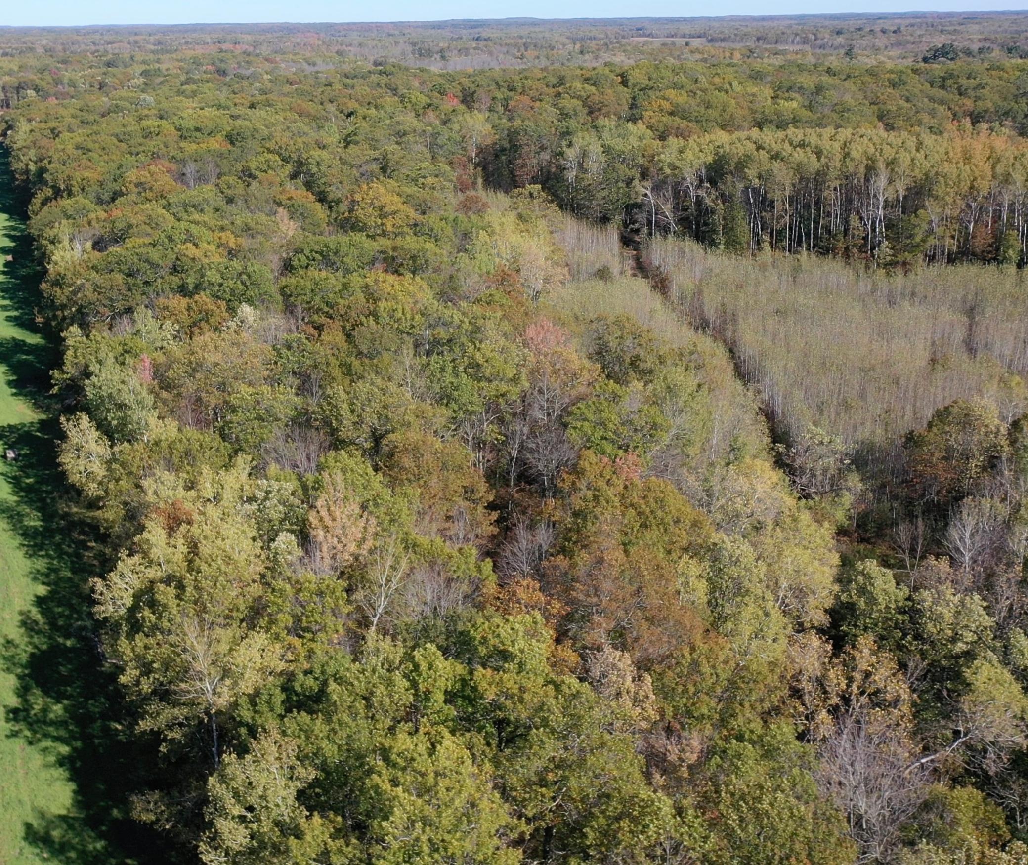 8 County Road 8 Brainerd, MN 56401 - Photo 10 of 12