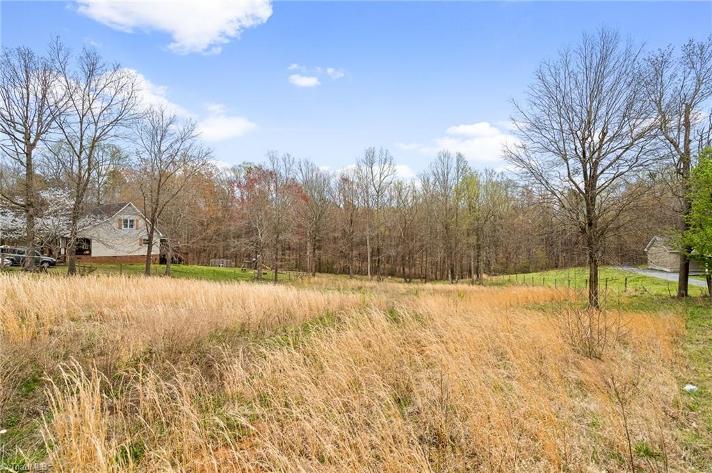 2511 Beckerdite Road Sophia, NC 27350 - Photo 28 of 31 Gallery Image 28