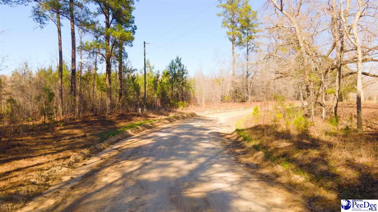 0 Henry Road Greeleyville, SC 29056 - Photo 2 of 10 Gallery Image 2