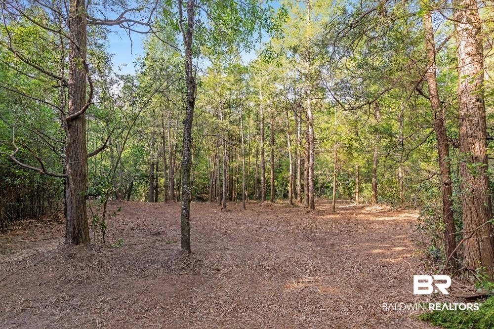 11100 Kali Oka Road Eight Mile, AL 36613 - Photo 37 of 49