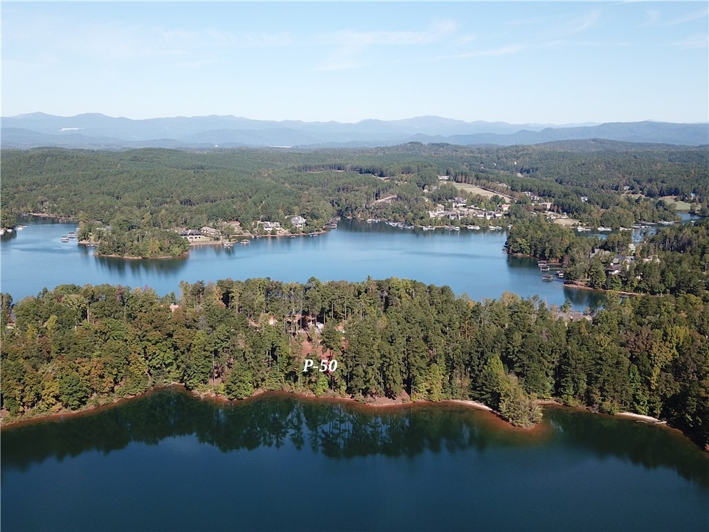 395 Peninsula Ridge, Unit P 50 Sunset, SC 29685 - Photo 5 of 29 Gallery Image 5