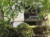 a view of house with a yard