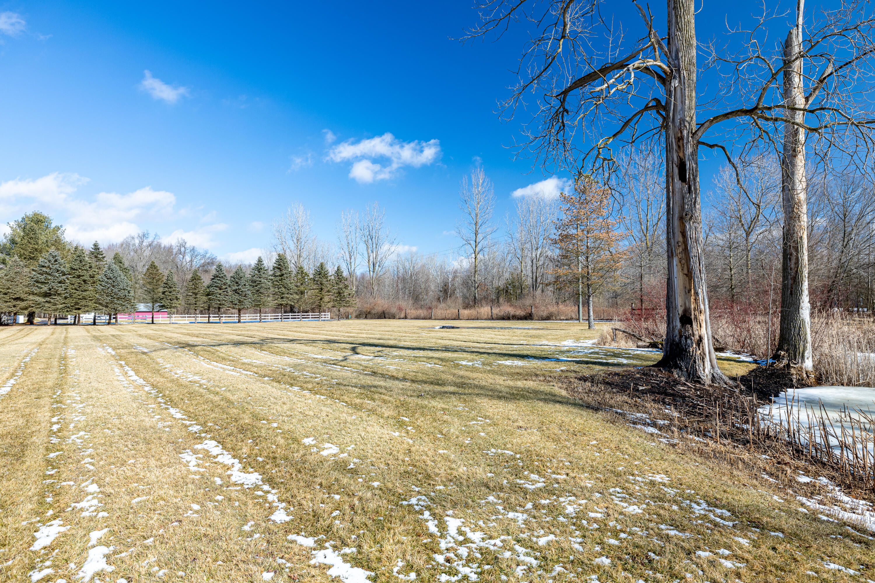 9285 Willow Road Willis, MI 48191 - Photo 12 of 42 9285 Willow Rd (21 of 54)