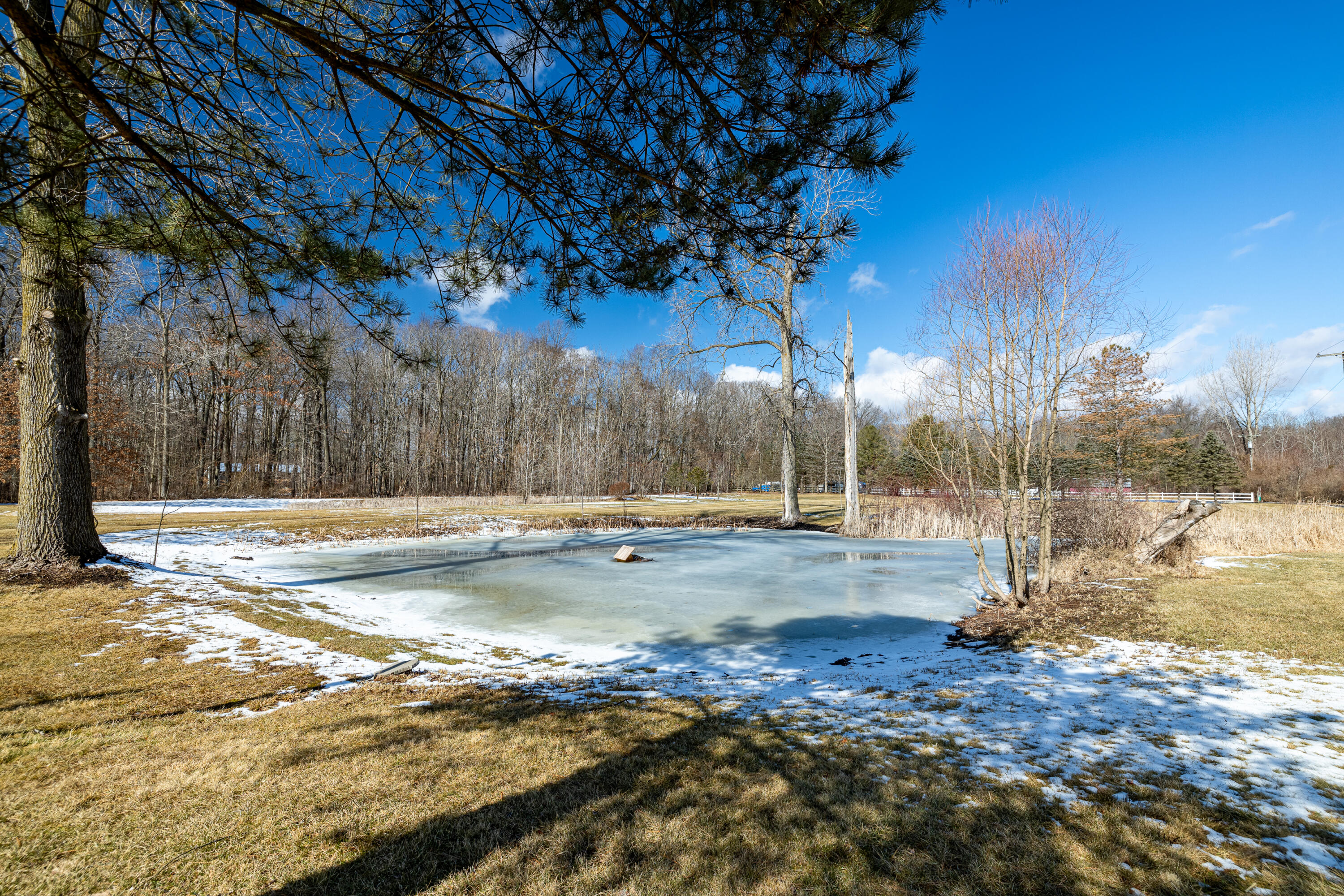 9285 Willow Road Willis, MI 48191 - Photo 10 of 42 9285 Willow Rd (18 of 54)