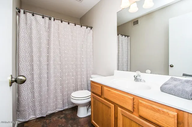 a bathroom with a sink a toilet and shower curtain