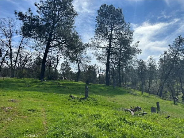 a view of a park