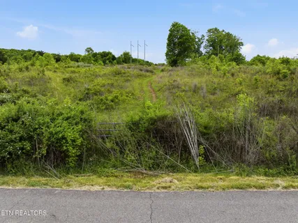 $230,000 | West Bear Hollow Road, Rogersville, TN 37857