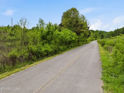 $230,000 | West Bear Hollow Road, Rogersville, TN 37857