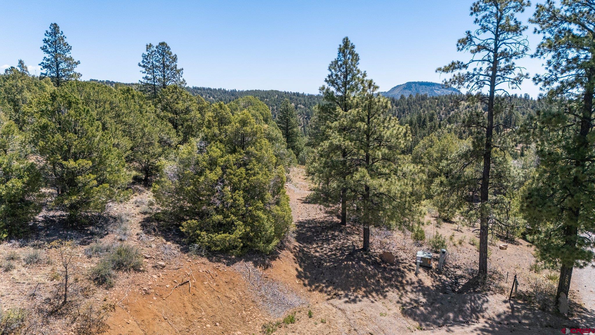 275 Logging Trail Road Durango, CO 81303 - Photo 1 of 6 a view of a yard with a tree
