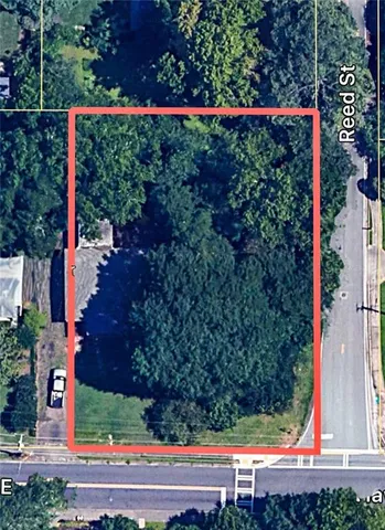 a view of a yard with flower plants