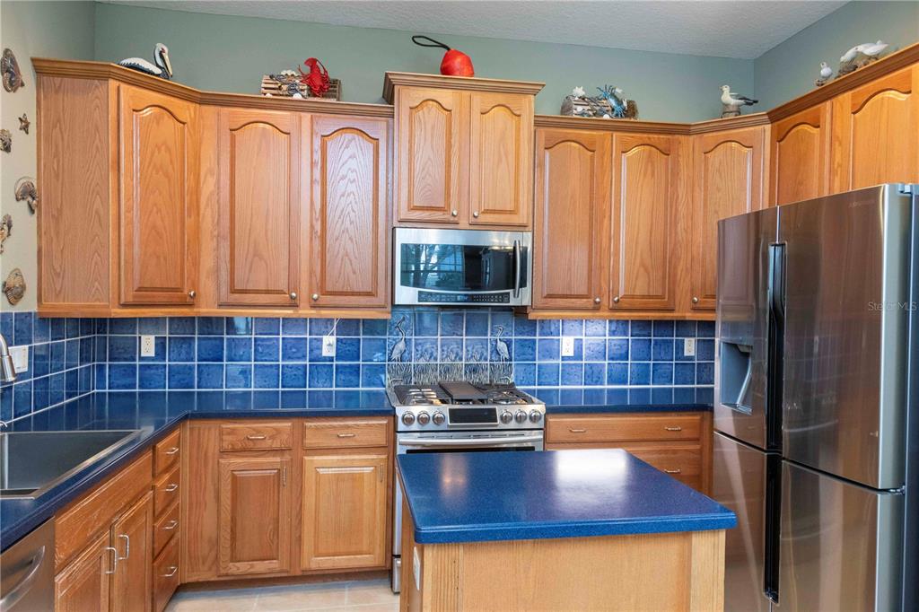 3746 Dogtrot Street New Port Richey, FL 34655 - Photo 9 of 50