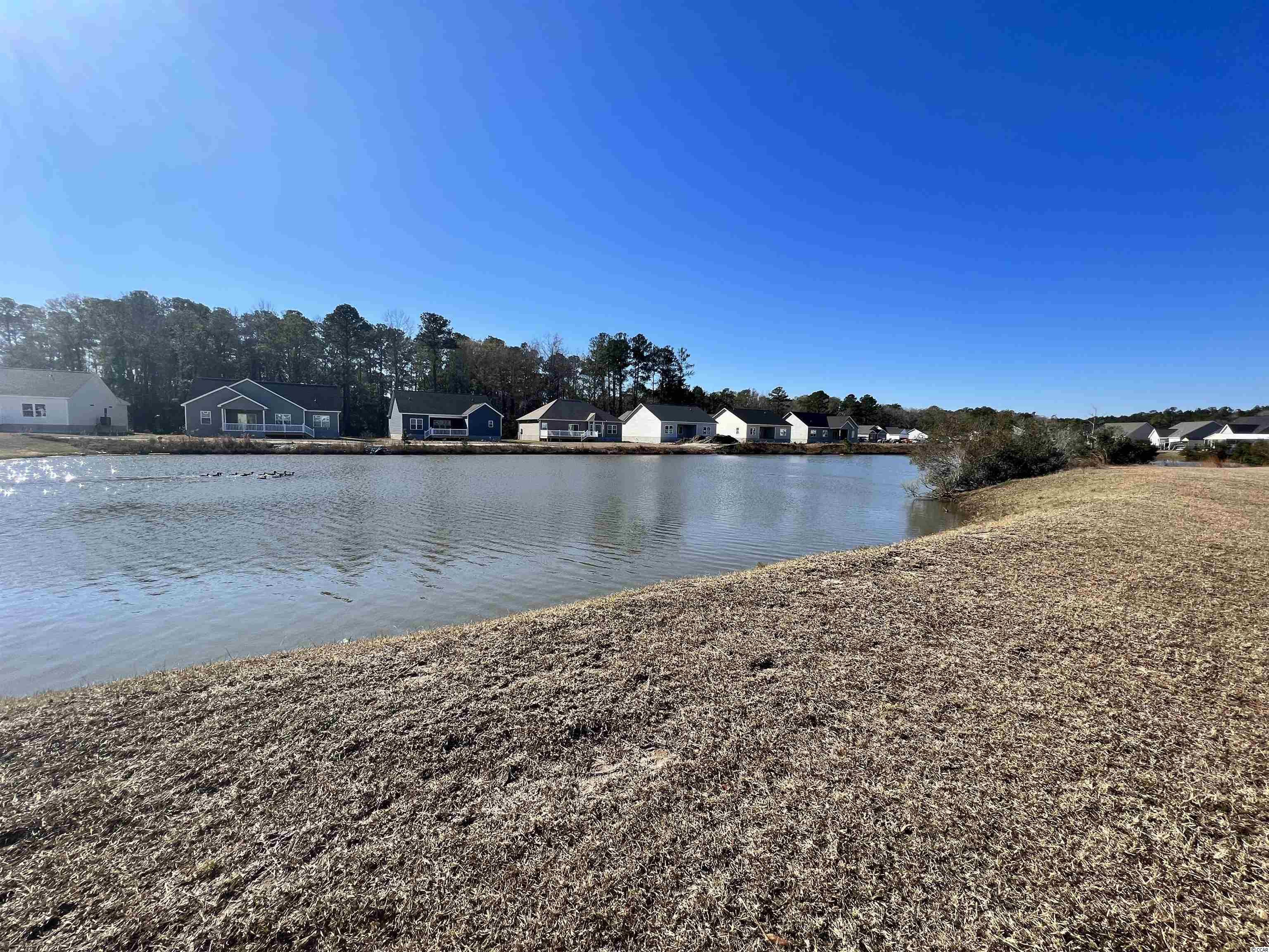 459 Garden Avenue Georgetown, SC 29440 - Photo 4 of 19