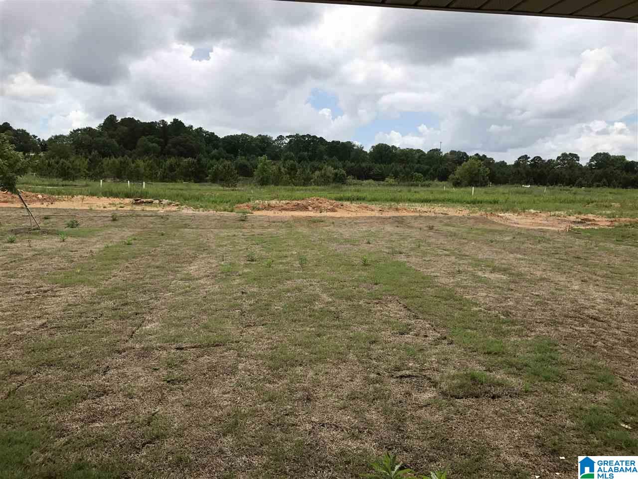 157 Revolutionary Way Montevallo, AL 35115 - Photo 32 of 34