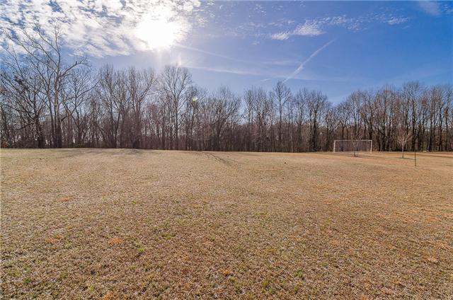 2436 Pleasant View Road Pleasant View, TN 37146 - Photo 10 of 17 Open area back yard gives lots of room for fun activities.